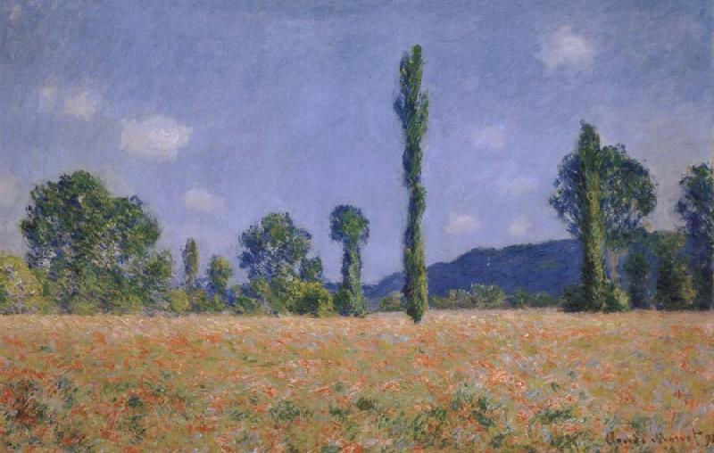 Claude Monet Poppy Field Norge oil painting art